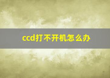 ccd打不开机怎么办