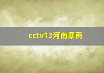 cctv13河南暴雨