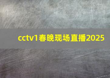 cctv1春晚现场直播2025