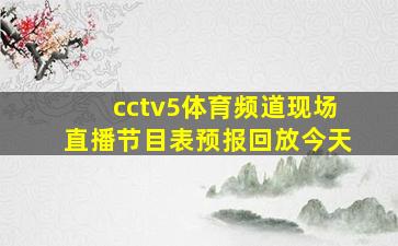 cctv5体育频道现场直播节目表预报回放今天