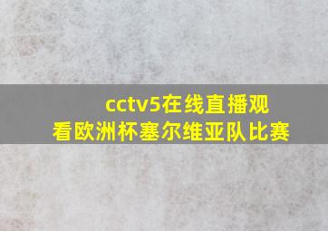 cctv5在线直播观看欧洲杯塞尔维亚队比赛