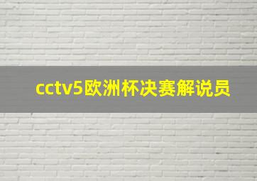 cctv5欧洲杯决赛解说员