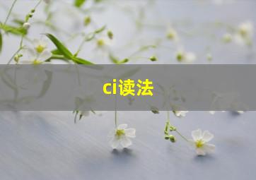 ci读法