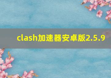 clash加速器安卓版2.5.9