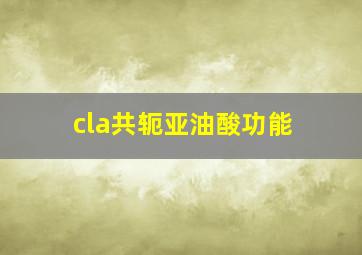 cla共轭亚油酸功能