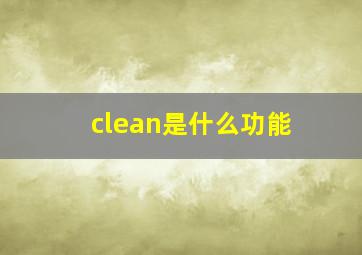 clean是什么功能