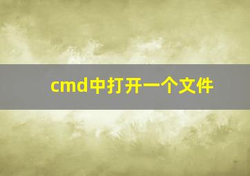 cmd中打开一个文件