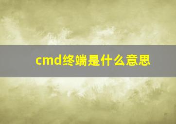 cmd终端是什么意思