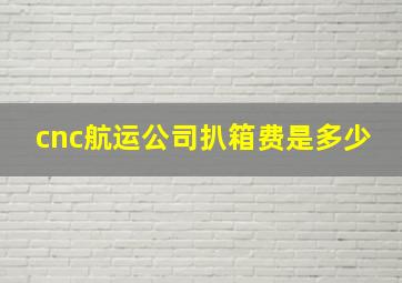 cnc航运公司扒箱费是多少