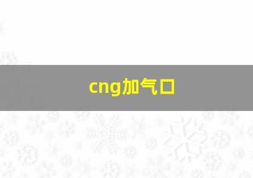 cng加气口