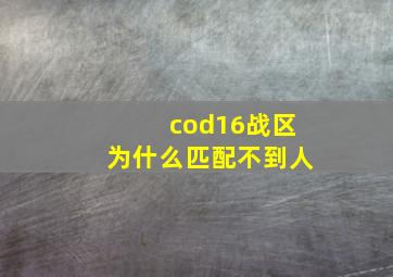 cod16战区为什么匹配不到人