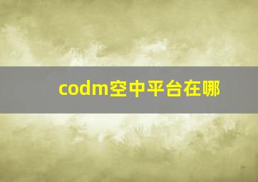 codm空中平台在哪