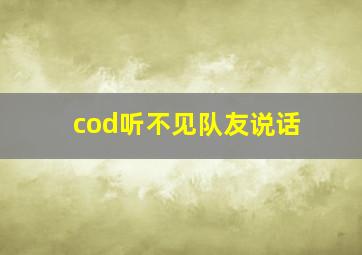 cod听不见队友说话