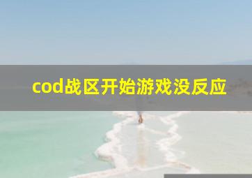 cod战区开始游戏没反应