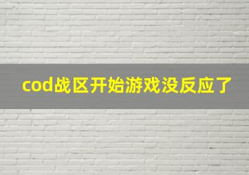 cod战区开始游戏没反应了