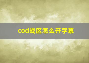 cod战区怎么开字幕