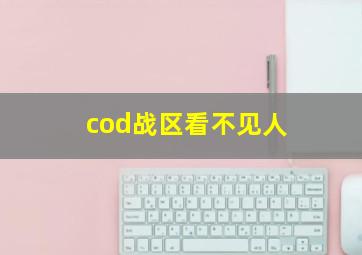 cod战区看不见人