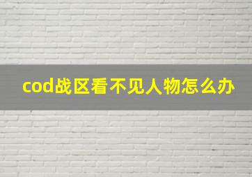 cod战区看不见人物怎么办