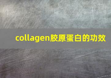 collagen胶原蛋白的功效