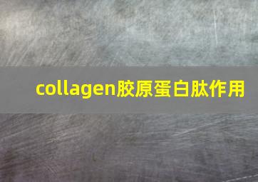 collagen胶原蛋白肽作用