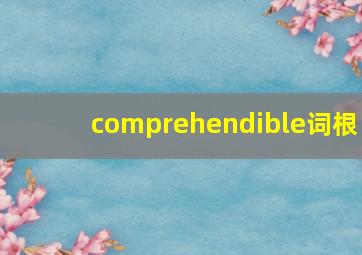 comprehendible词根