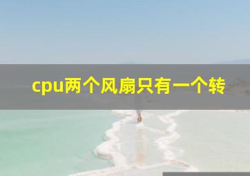 cpu两个风扇只有一个转