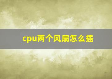 cpu两个风扇怎么插