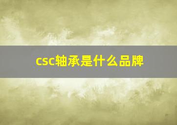 csc轴承是什么品牌