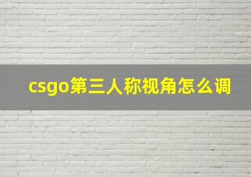 csgo第三人称视角怎么调