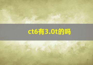 ct6有3.0t的吗