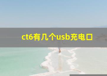 ct6有几个usb充电口