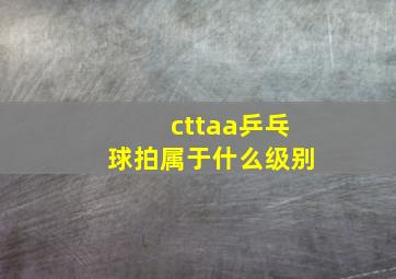 cttaa乒乓球拍属于什么级别