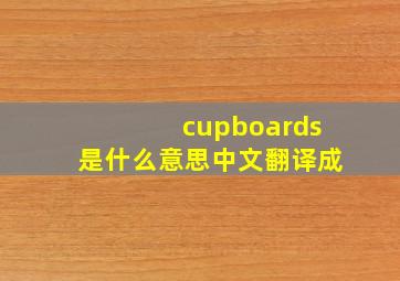 cupboards是什么意思中文翻译成