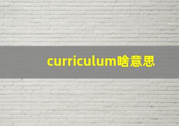 curriculum啥意思