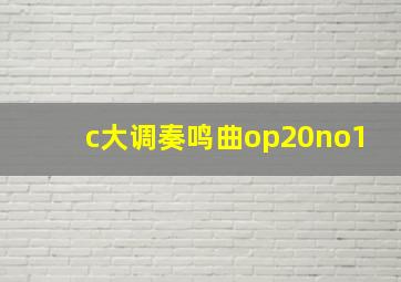 c大调奏鸣曲op20no1