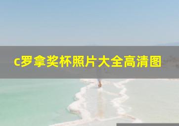 c罗拿奖杯照片大全高清图