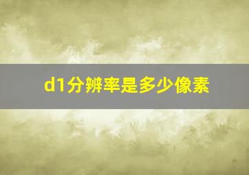 d1分辨率是多少像素