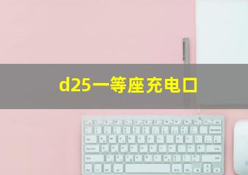 d25一等座充电口