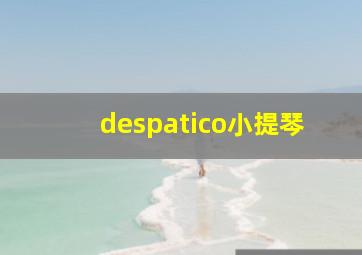 despatico小提琴