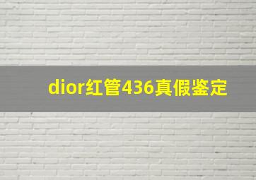 dior红管436真假鉴定