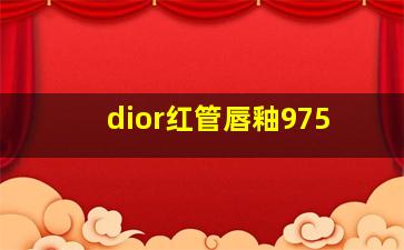 dior红管唇釉975