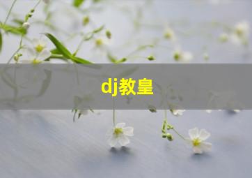 dj教皇