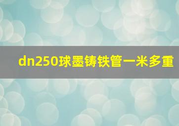 dn250球墨铸铁管一米多重