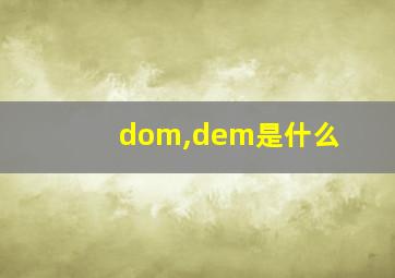 dom,dem是什么