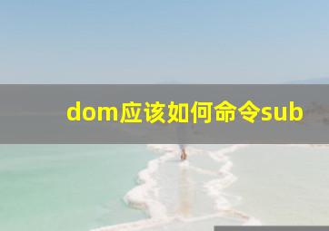 dom应该如何命令sub