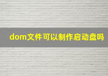 dom文件可以制作启动盘吗