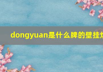 dongyuan是什么牌的壁挂炉