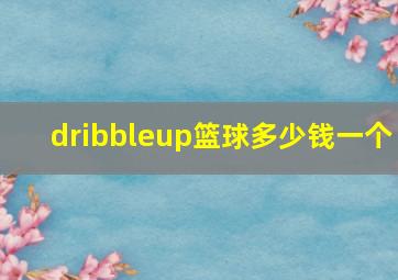 dribbleup篮球多少钱一个