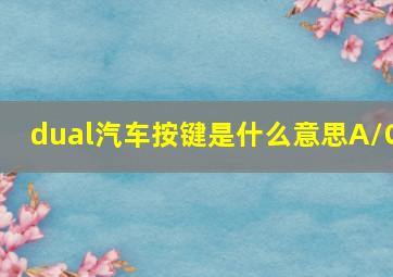 dual汽车按键是什么意思A/C