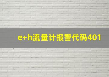 e+h流量计报警代码401